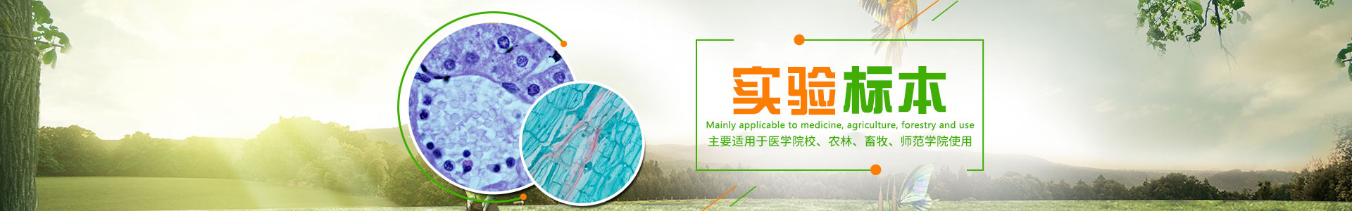 沅江市康勝實驗用品有限公司_醫學標本加工|免疫學切片|病原微生物學切片|解剖陳列標本